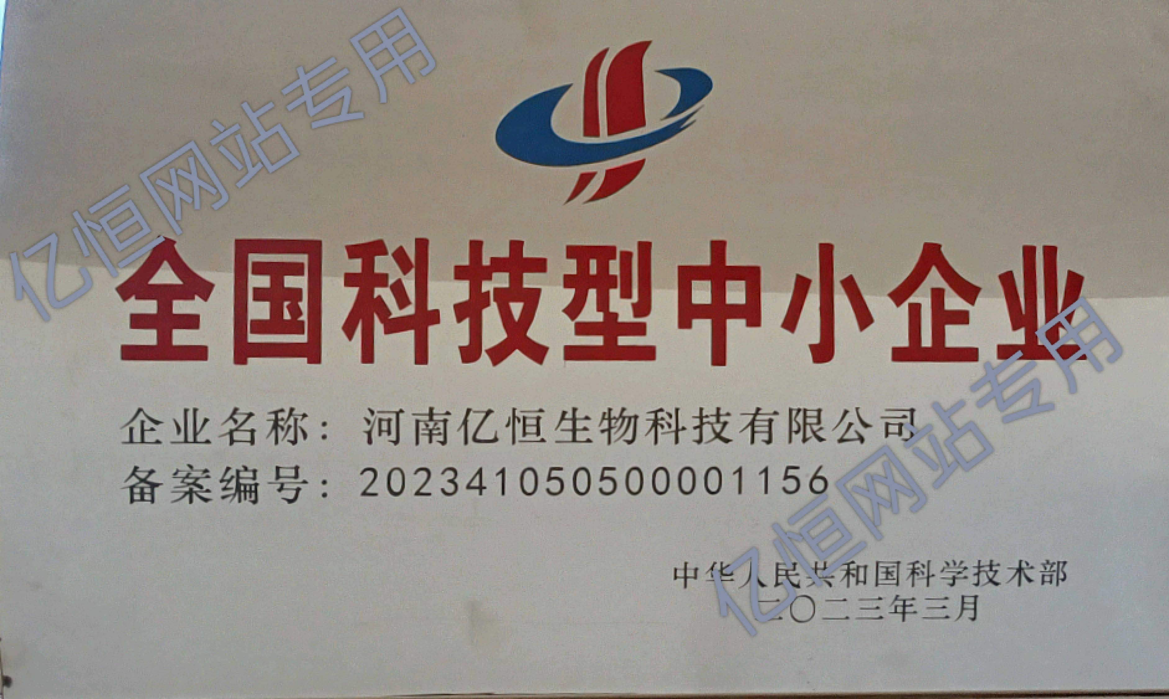 全国科技型中小企业